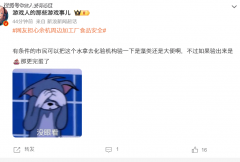 <b>将加强对食物市场的放哨和抽检力度</b>