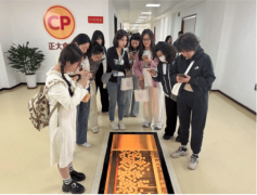 纷纷环绕楼宇经济成长、企业合做等话题展开强